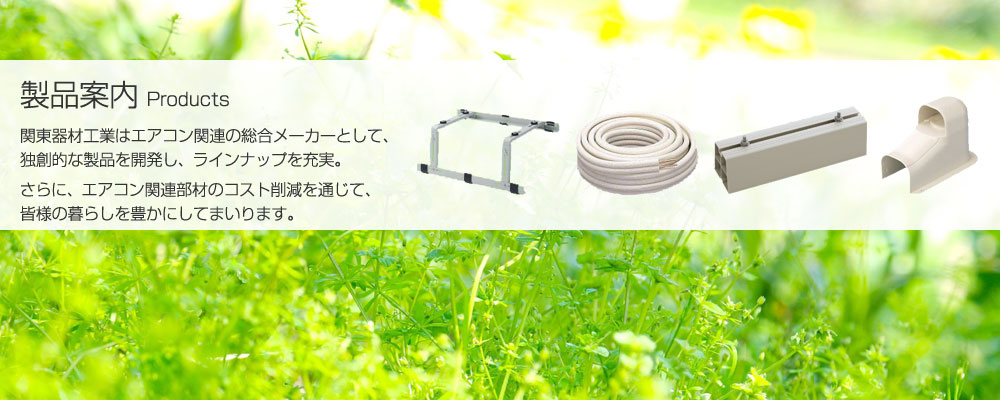 mainv_product